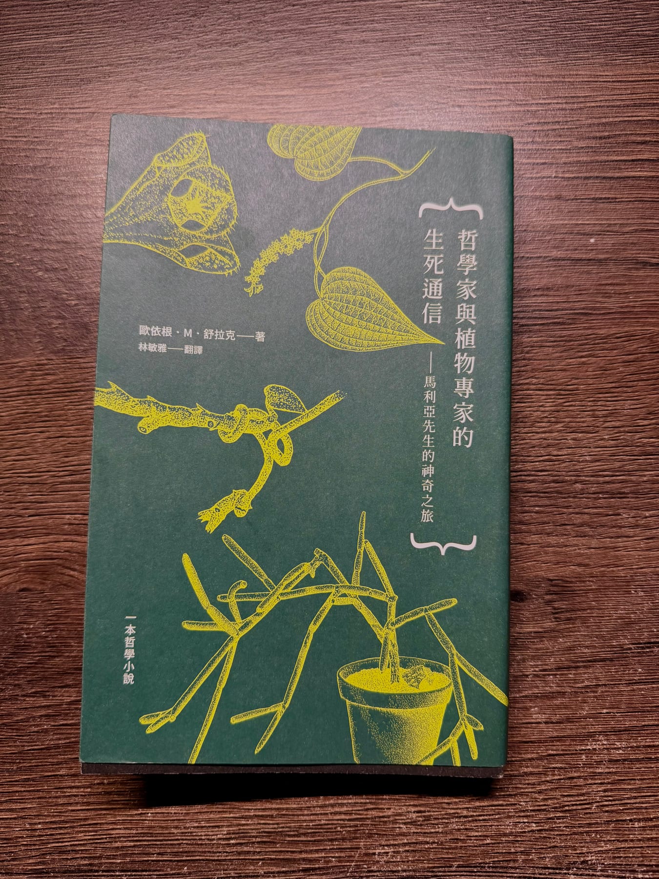 《哲學家與植物專家的生死通信》書影